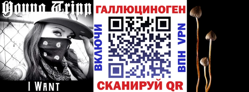 даркнет сайт  mega зеркало  Галлюциногенные грибы GOLDEN TEACHER  Баксан 
